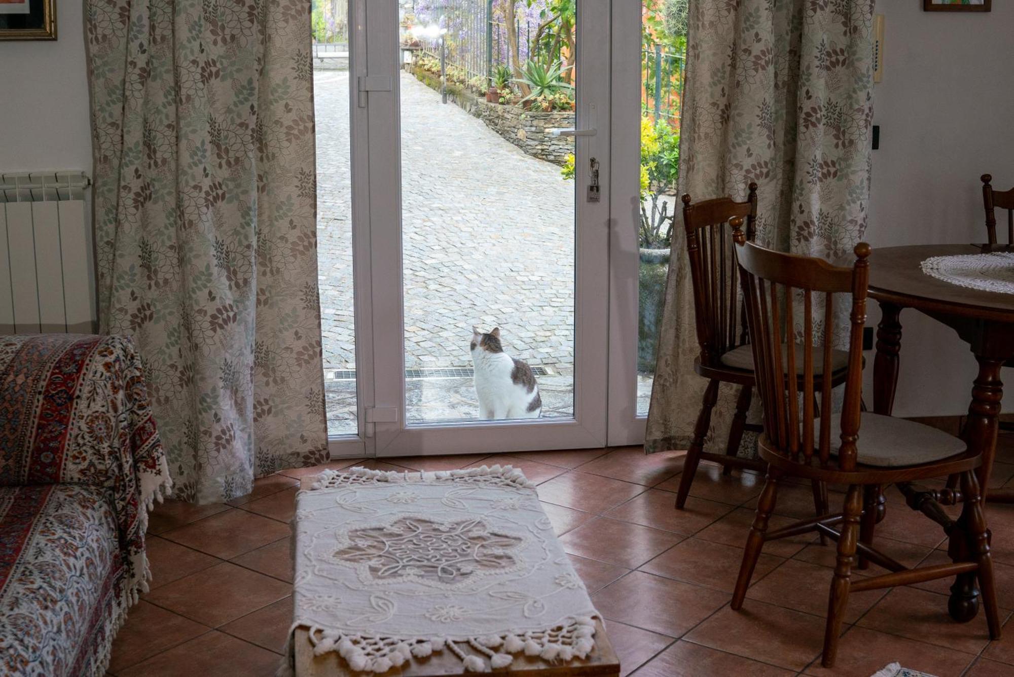B&B Collina E Mare Camogli Buitenkant foto