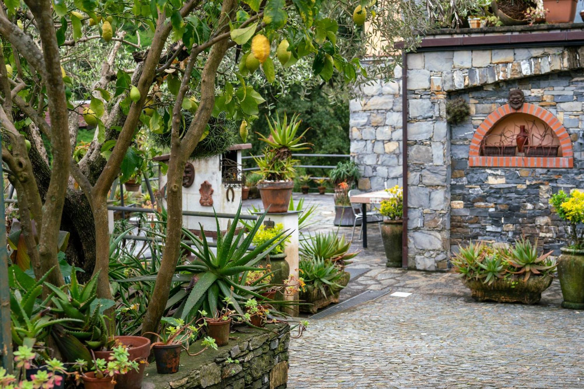B&B Collina E Mare Camogli Buitenkant foto